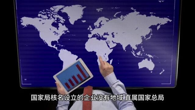 上海公司怎么升国家局中字头核名,有什么优势需要什么流程?