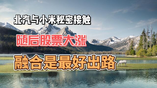 北汽与小米接触 随后股票大涨 融合是最好出路