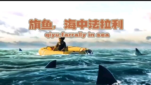 海中的法拉利旗鱼