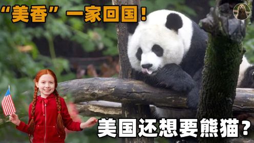 大熊猫“美香”一家终于回国！美国还想要，我们还应该继续租吗？