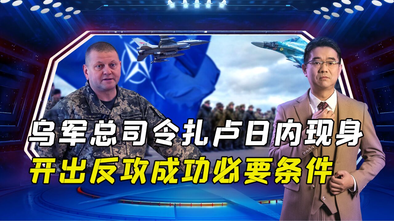 乌军总司令扎卢日内现身 开出反攻成功必要条件