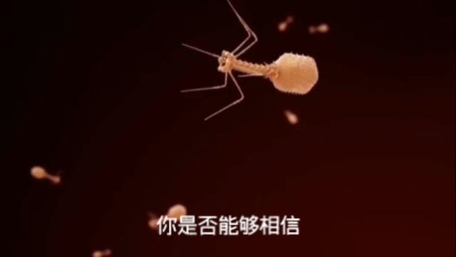 大肠杆菌中的美妙机制:揭秘每分钟高达1000转的细菌旋转器