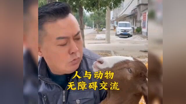 盘点人与动物的无障碍交流