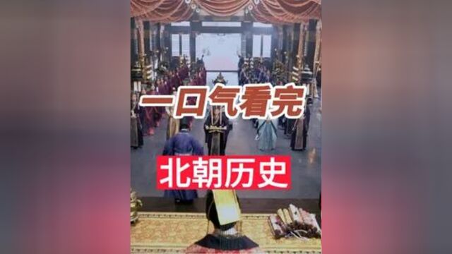 一口气看完南北朝之北朝142年历史4