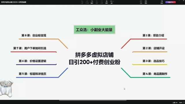 拼多多虚拟店铺玩法,日引200+创业粉没问题
