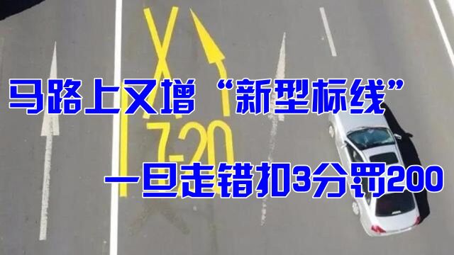 马路上又增“新型标线”,一旦走错扣3分罚200,车主:干脆步行吧