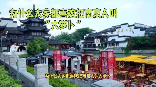 为什么大家都喜欢把南京人叫“大萝卜”?你来一趟可能就知道了!