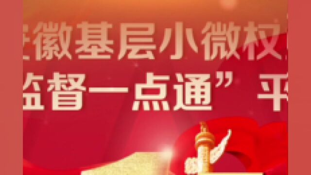 安徽基层小微权力“监督一点通”平台上线一周年!