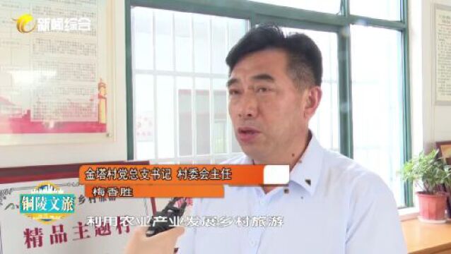 【铜陵文旅】农旅融合发展 打造康养金塔|三公精舍“传育立行”共建基地揭牌……