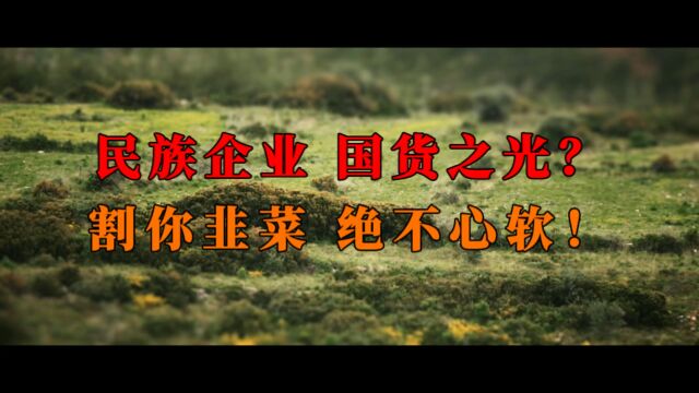 民族企业 国货之光?割你韭菜 绝不心软!