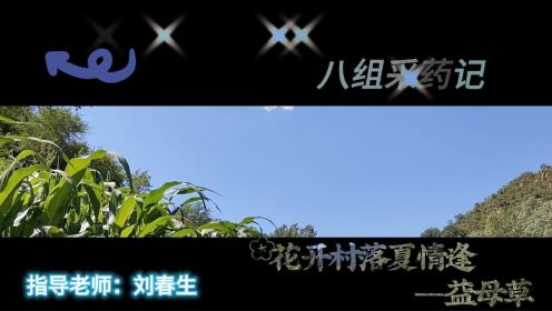 北京中医药大学+21级采药8组+药用植物科普微视频