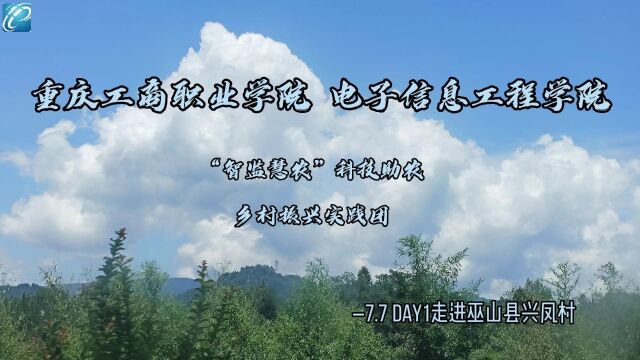 重庆工商职业学院暑期“三下乡”实践活动