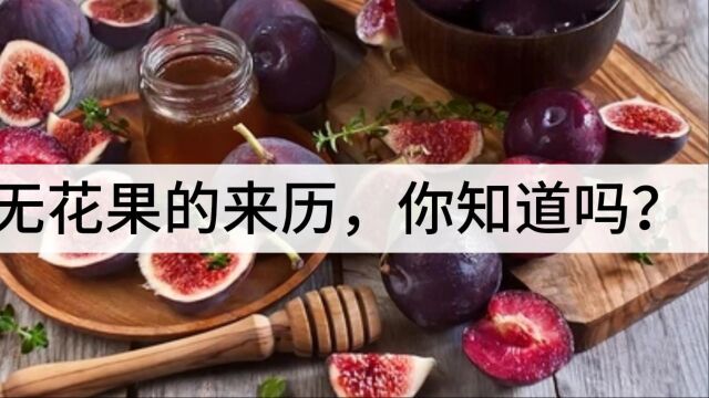 无花果的来历你知道吗?