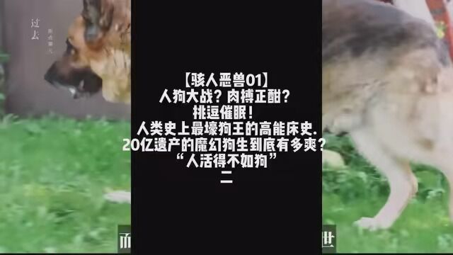 【骇人恶兽01】人狗大战?肉搏正酣?挑逗催眠!人类史上最壕狗王的高能床史......20亿遗产的魔幻狗生到底有多爽?