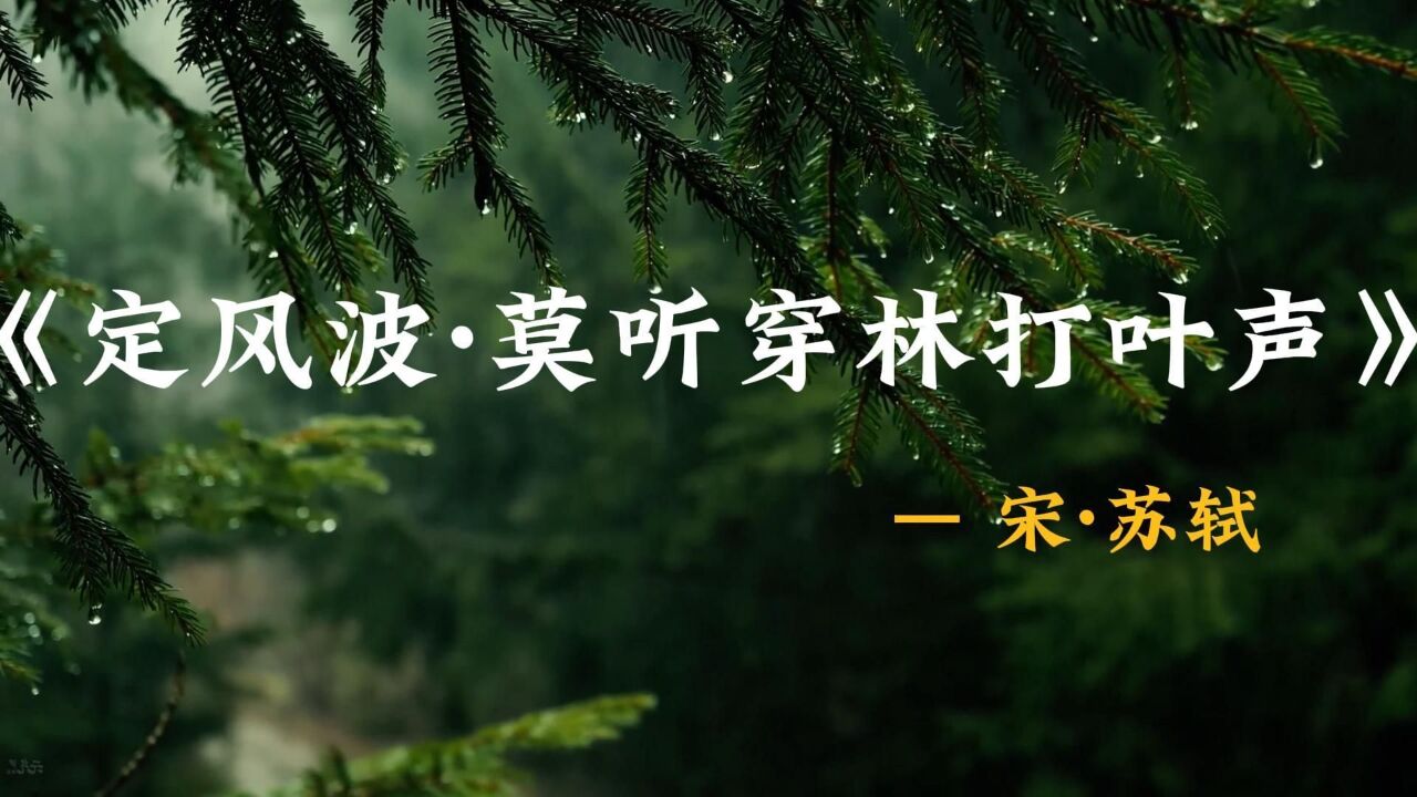 诗词鉴赏之《定风波·莫听穿林打叶声》-苏轼_高清1080P在线观看平台_腾讯视频