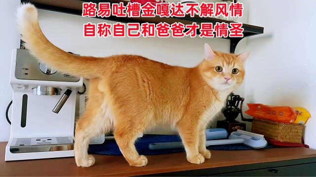 铁岭那家猫太多14:路易吐槽金嘎达不解风情,自己和爸爸才是情圣