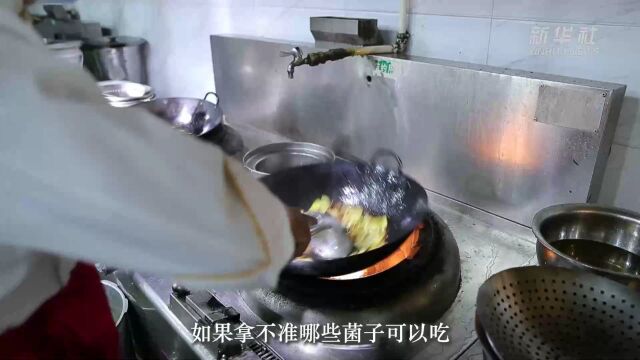 野生菌食用指南