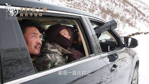 太燃啦！《雪豹和她的朋友们》曝摄影师特辑 中国人自己拍的雪豹电影