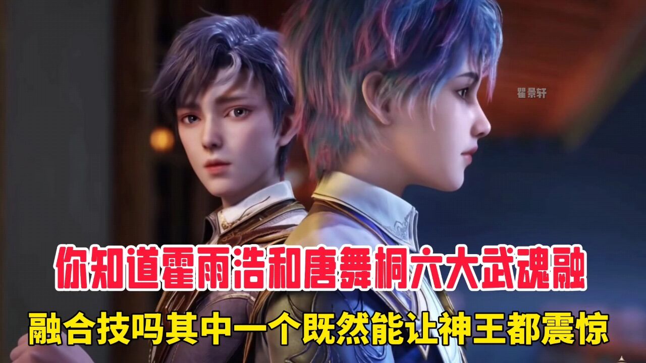 绝世唐门:你知道霍雨浩和唐舞桐六大武魂融合技吗,其中一个既然能让神王都震惊。_腾讯视频}