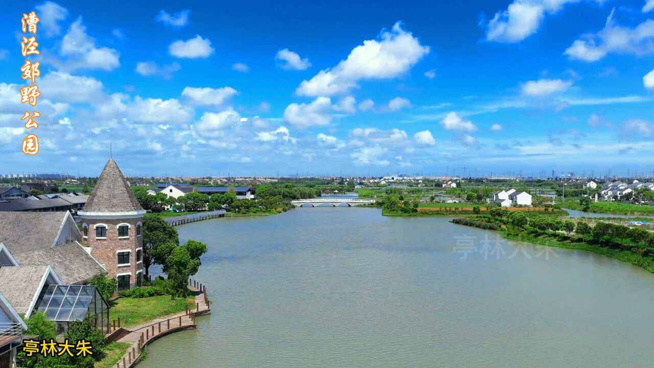 漕泾郊野公园的"水晶天"
