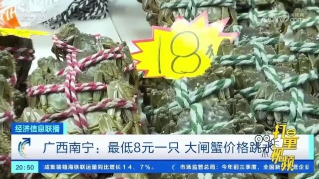 广西南宁:最低8元一只,大闸蟹价格跳水