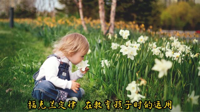 福克兰定律 在教育孩子时的运用