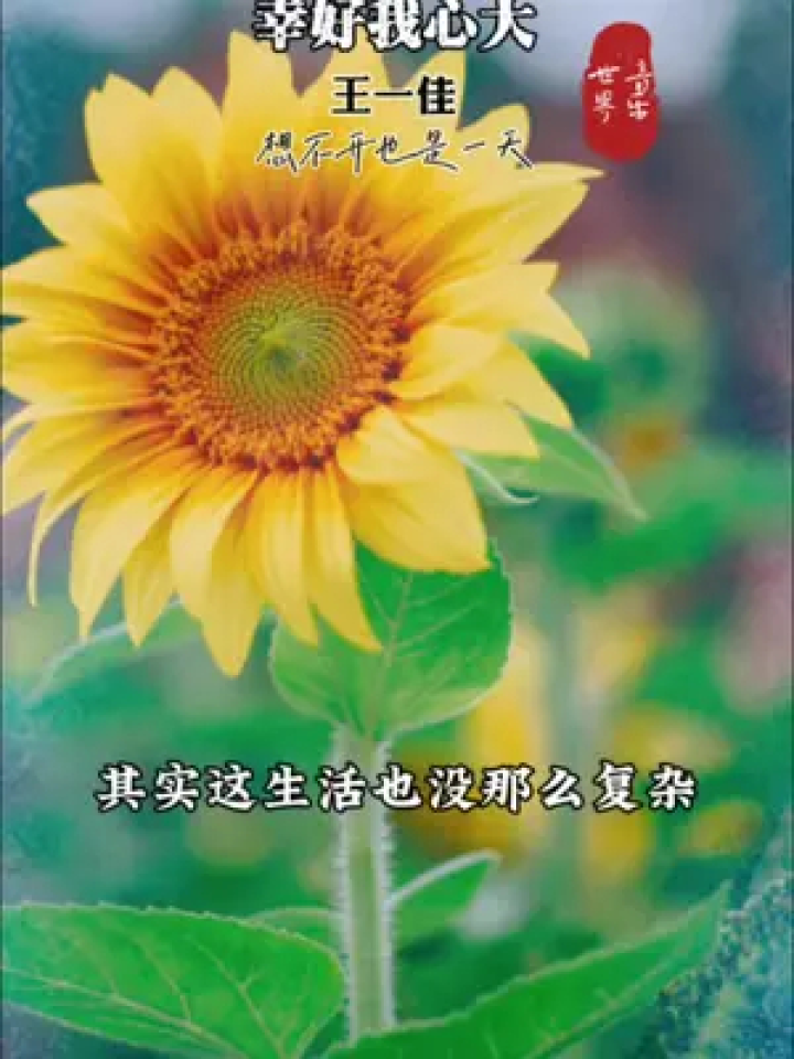 想不开也是一天,心不大最开心的是讨厌你的人,最难受是最亲近你的人