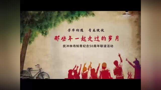 抚冲林场知青纪念50周年活动