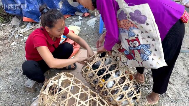 田园生活,市场售卖鸭子,为农场建造提供经济支持