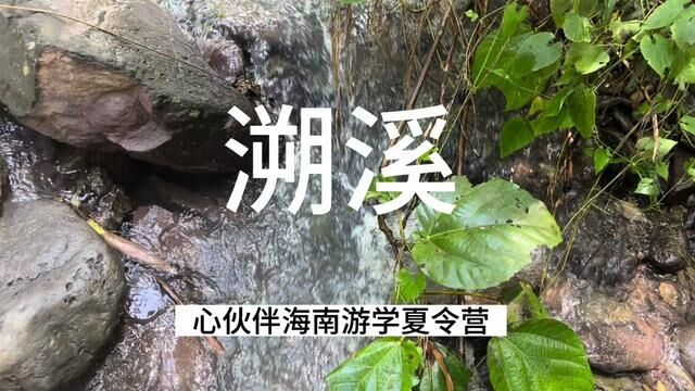 心伙伴海南游学夏令营一一溯溪