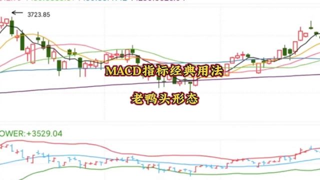 MACD指标经典用法——老鸭头形态