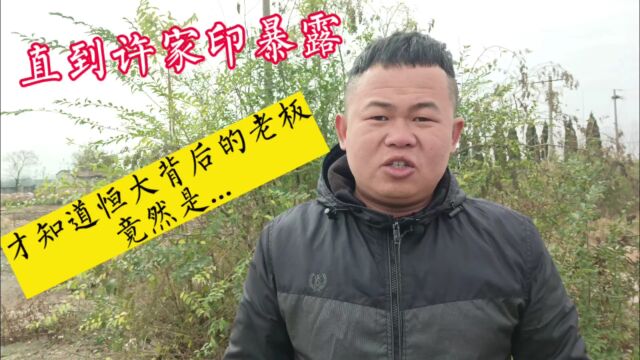 直到许家印暴露,才知道幕后大佬李华才是恒大集团总部的真BOSS