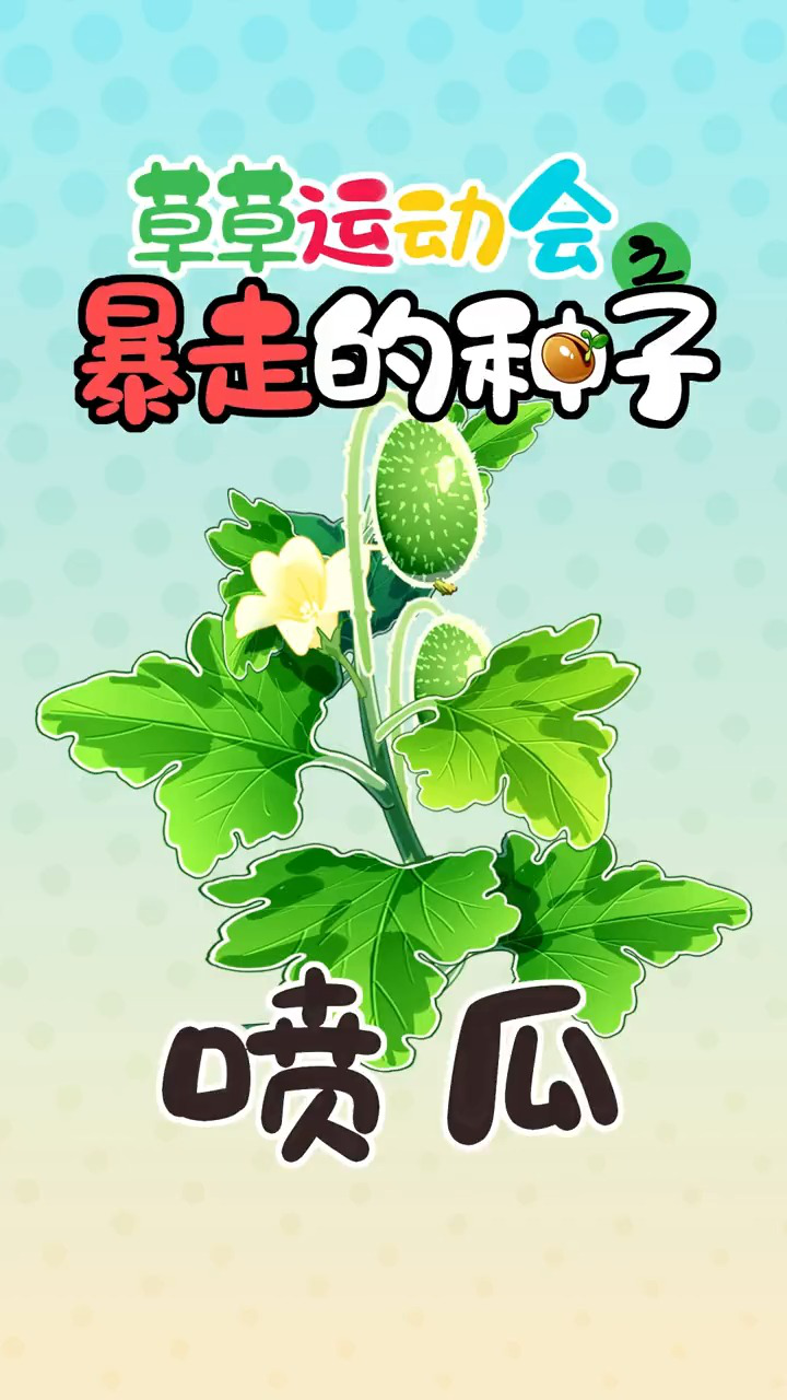 物理 化学攻击!这波伤害你扛得住吗?