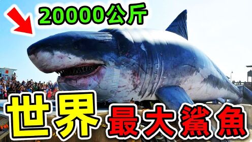 海洋神秘世界-潜藏在深海里的巨兽_高清1080P在线观看平台_腾讯视频