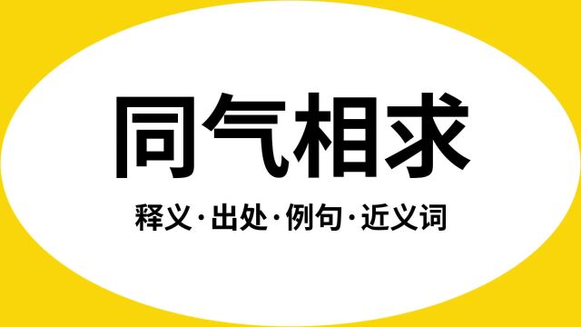 “同气相求”是什么意思?