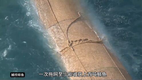 巨型拖网渔船,一次拖网收获上百吨鲱鱼,承载量达到惊人的6千吨_高清1080P在线观看平台_腾讯视频