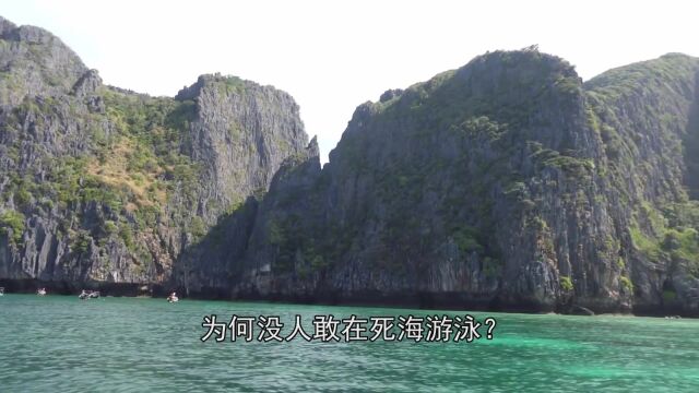 死海淹不死人,为什么没有人敢在死海里游泳?看完涨知识了