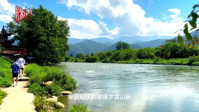 “桃”醉今夏㉚|【视频】魅力水西