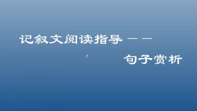 记叙文阅读指导:句子赏析