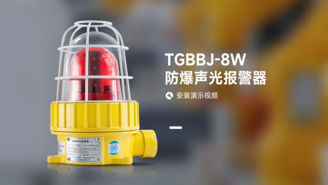 TGBBJ8W 杭州天冠防爆声光报警器安装介绍