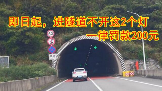 进隧道时再不开这2个灯,一律罚款200,车主不懂就亏大了