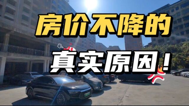 房价不能降的原因找到了,事关每一个购房的老百姓,专家全面分析