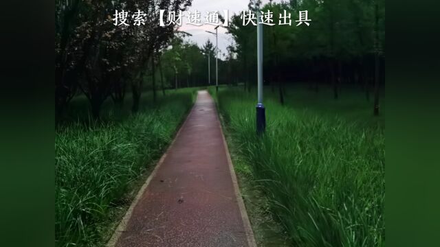 年度财务审计报告一般多少钱财速通会计审计报告收费标准