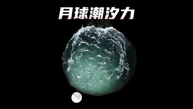 直观的感受一下月球对潮汐的影响,什么是潮汐力?#科学探索