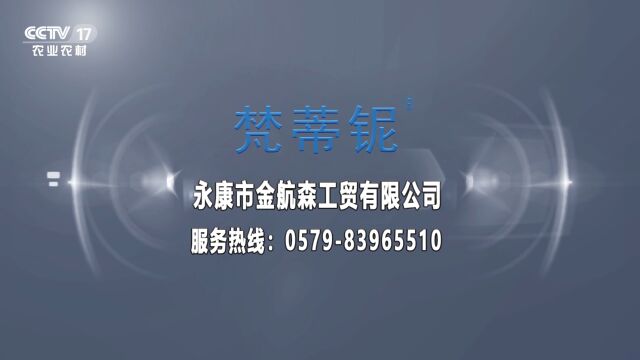 硕康木门梵蒂铌木门央视展播品牌永康市金航森工贸有限公司荣誉出品