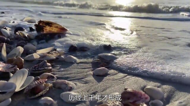 不可思议的“海螺岛”,历经上千年才形成,游客:吃货的力量?