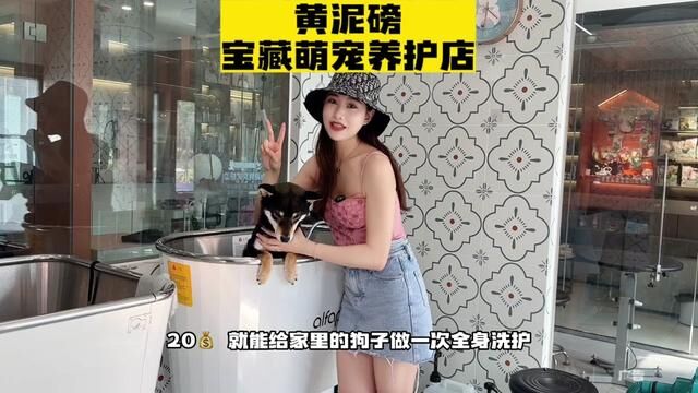 给家里的萌宠做全身洗护其实一点也不贵嘛,前提是找对地方!#vlog日常 #狗洗澡 #人人都是爱宠分享官