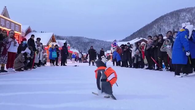 淘学企鹅“闯入”雪乡 携手开启“冰雪奇缘”