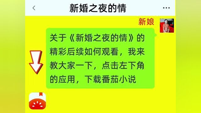 《新婚之夜的情》全集,点击左下方下载(番茄小说)精彩后续听不停#番茄小说 #小说