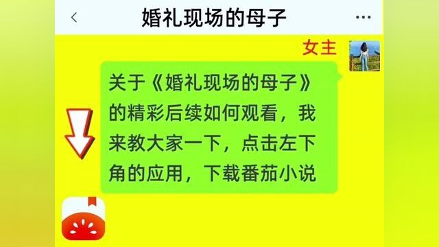 《婚礼现场的母子》全集,点击左下方下载(番茄小说)精彩后续听不停#番茄小说 #小说